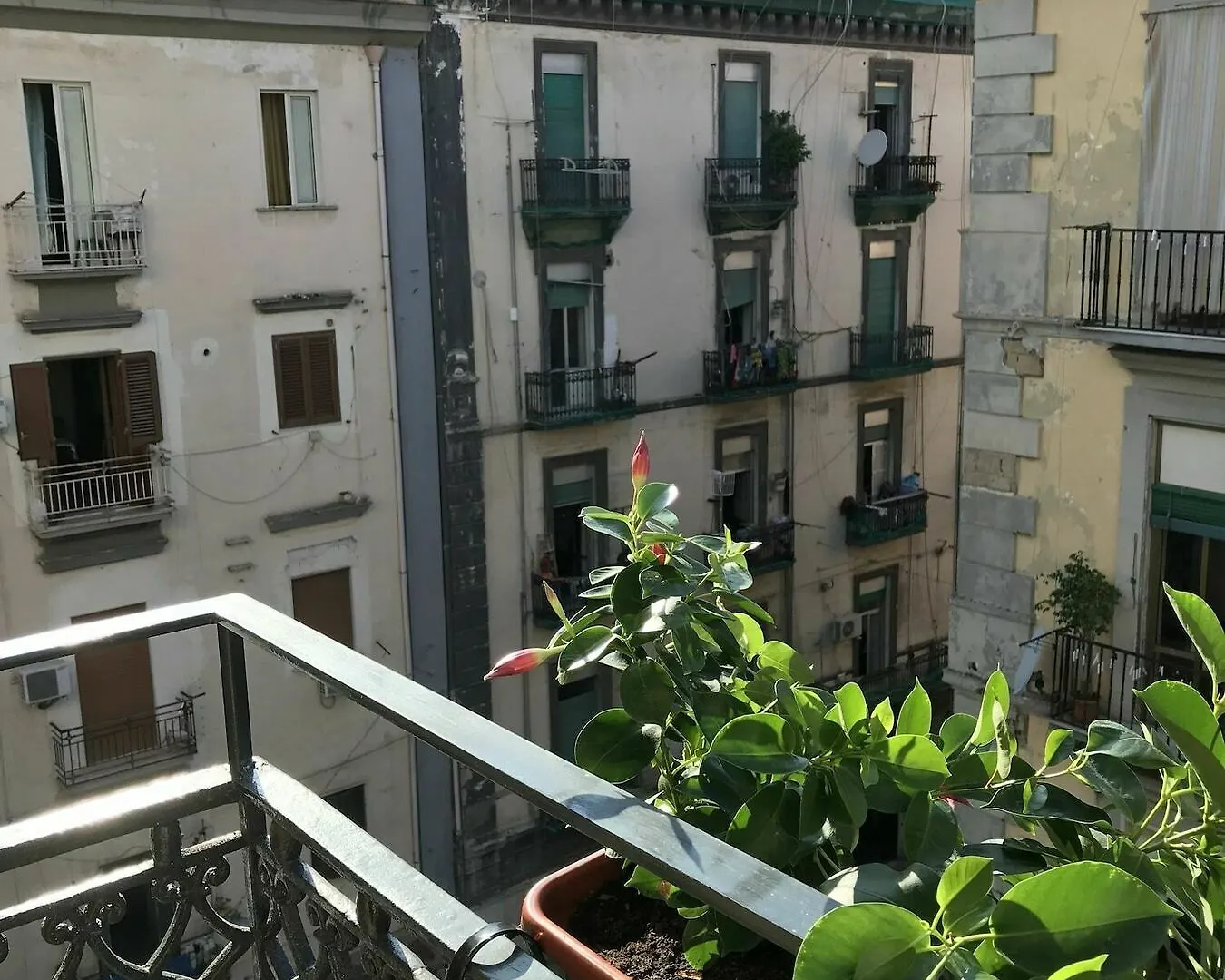 Hotel Joy Nápoles Italia